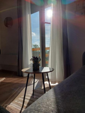 Apartman Krinka